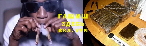 прущие грибы Алзамай