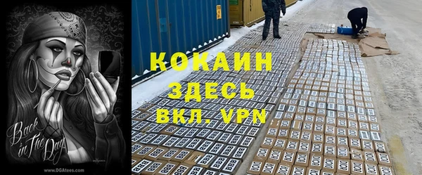 прущие грибы Алзамай