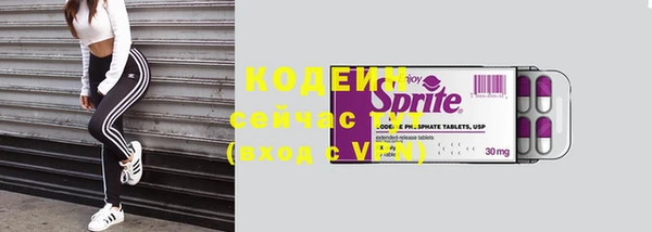 ешки Семилуки