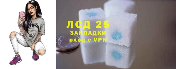 прущие грибы Алзамай