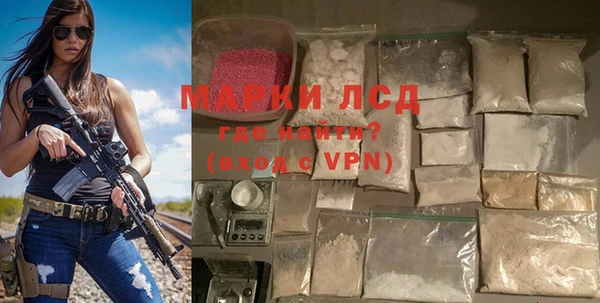 прущие грибы Алзамай